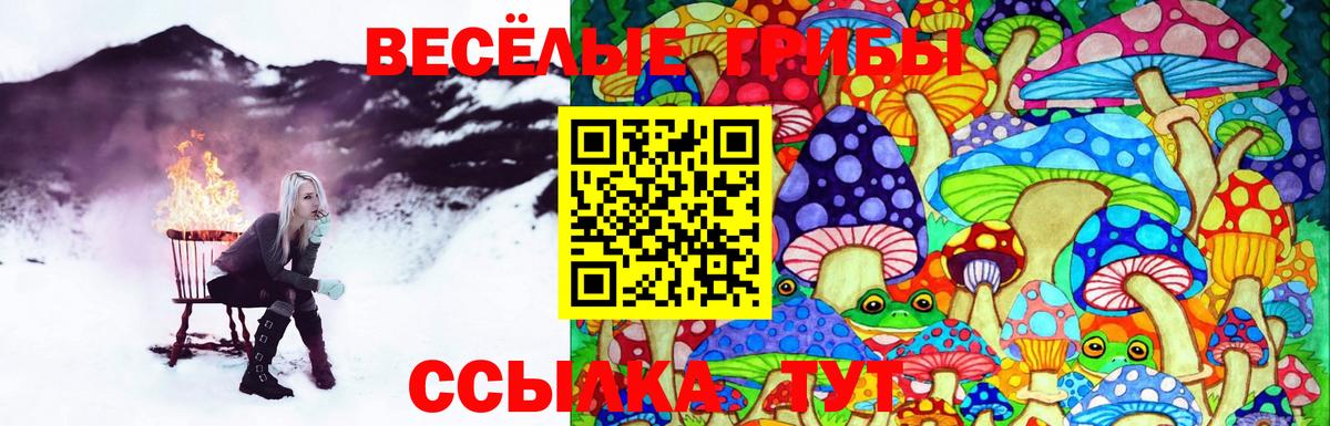 Лабытнанги  Псилоцибиновые грибы Cubensis  где купить наркоту  Вход с VPN 